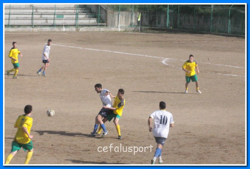 130406 delfini 049_tn.jpg